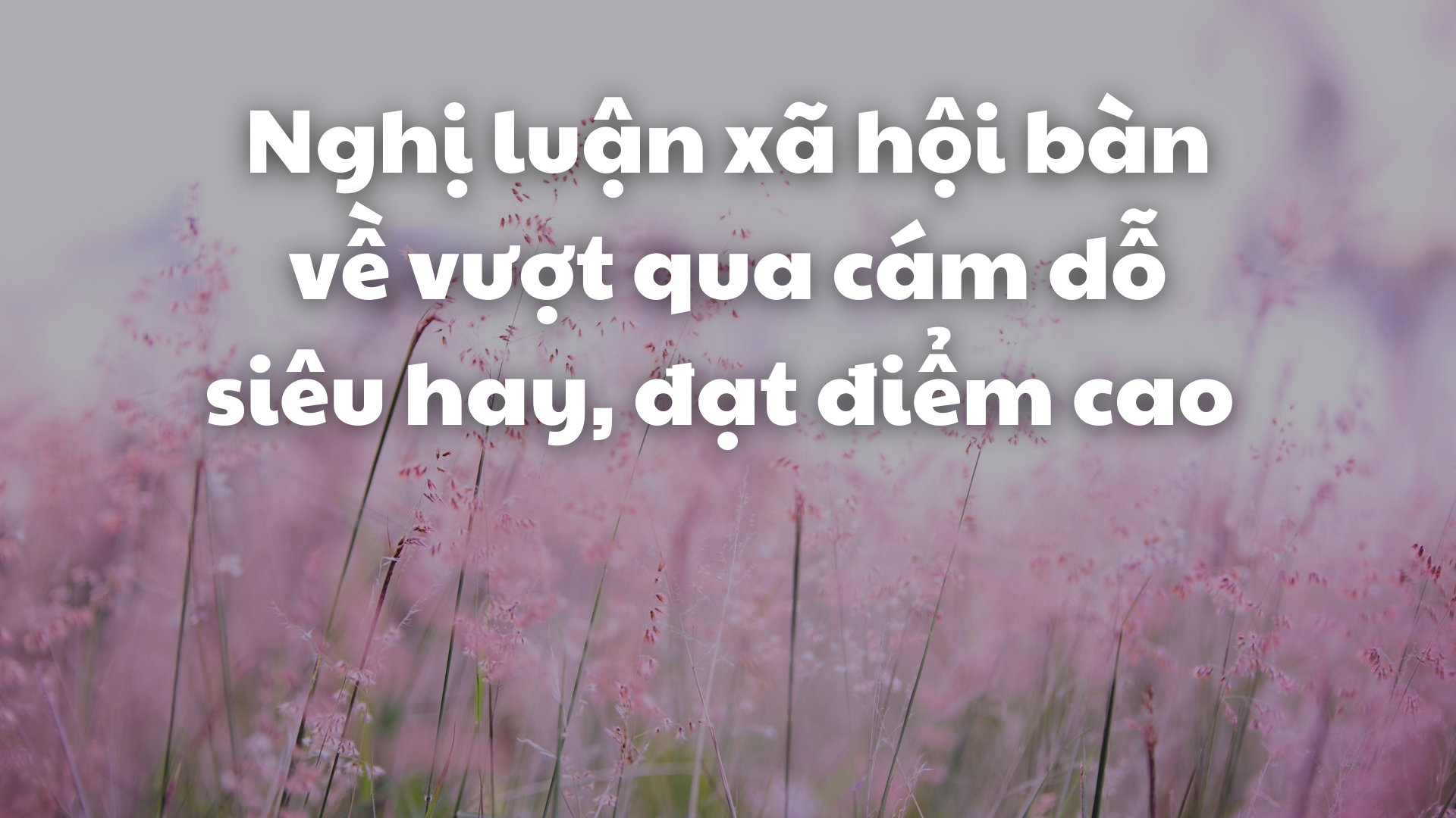Cám Dỗ Cuộc Đời Gallery 2