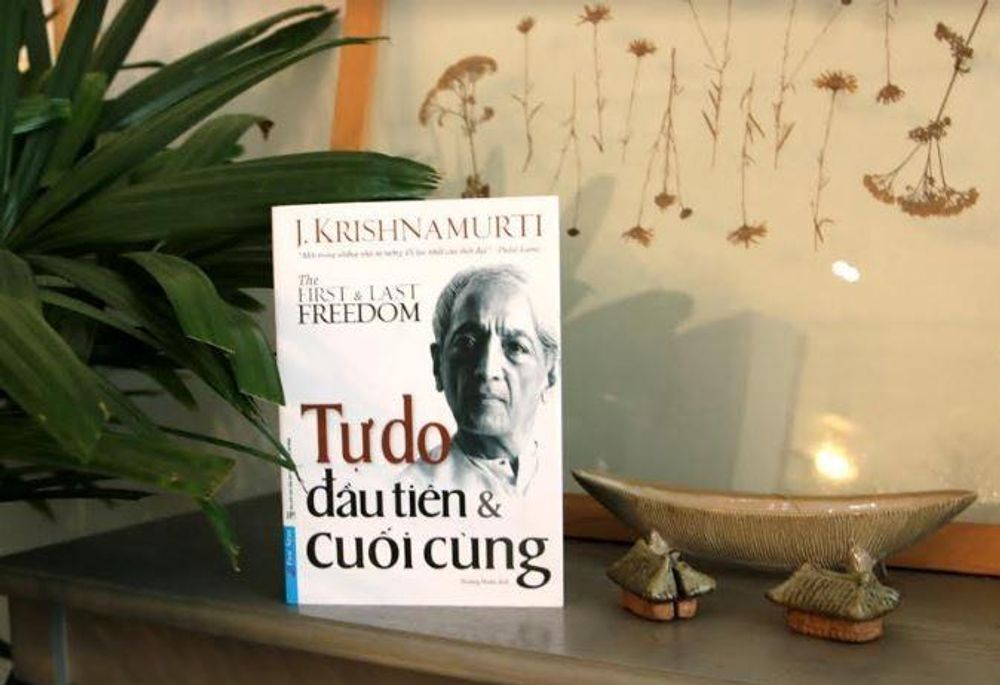 Truyện Tự Do Cuối: Review và Tổng Hợp Thông Tin Gallery 2