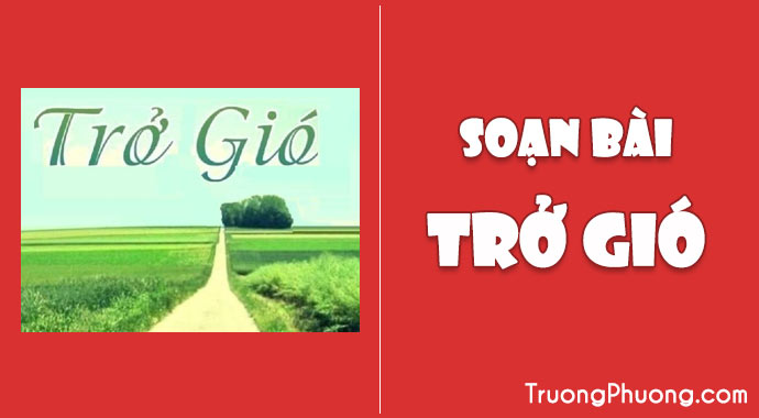Trở Gió Nguyễn Ngọc Tư Gallery 2