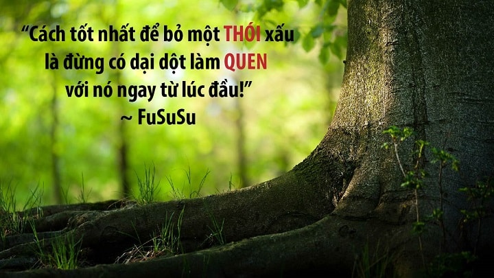 Danh Ngôn Về Thói Quen: Lời Khôn Ngoan Từ Những Triết Lý Vĩ Đại