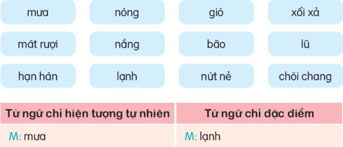 Danh Từ Chỉ Hiện Tượng Là Gì? Ví Dụ Và Cách Sử Dụng