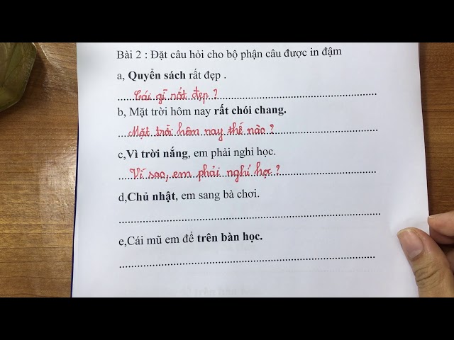 Đặt Câu Hỏi Cho Bộ Phận In Đậm Lớp 2 Gallery 2