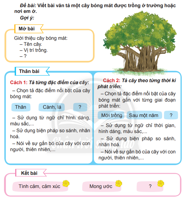 Đặt Câu Với Từ Ngữ Hoa Phượng, Cây Phượng Gallery 2