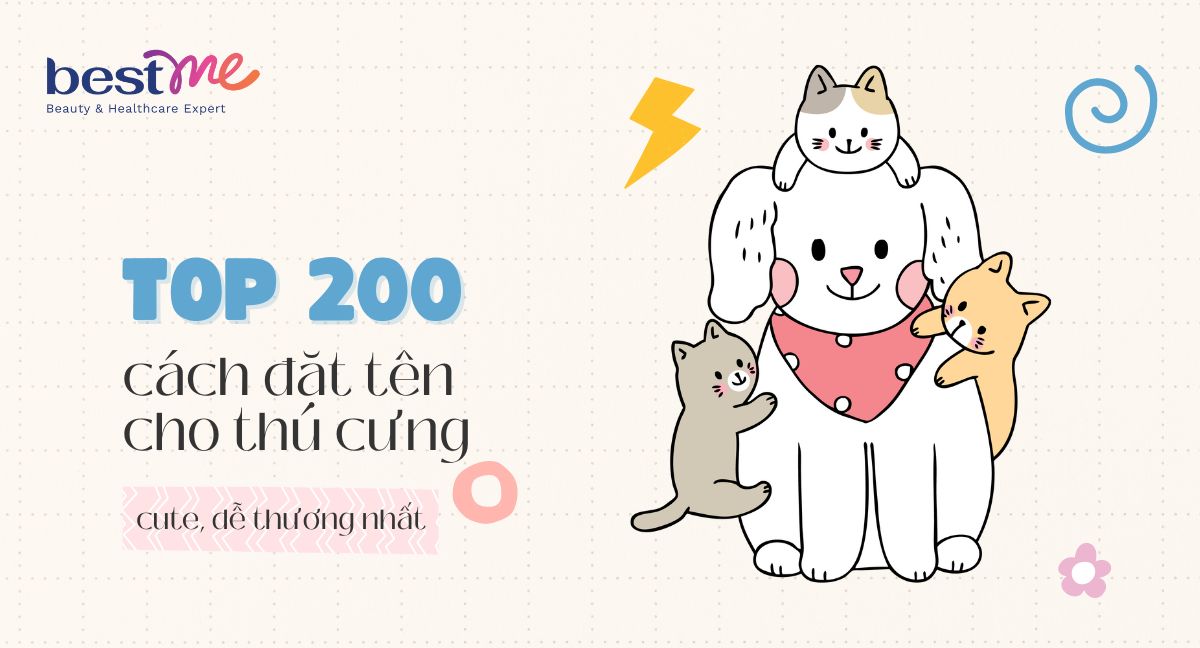 Đặt Tên Cho Thỏ: Những Gợi Ý Hay Và Ý Nghĩa
