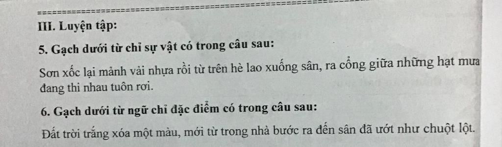Đất Trời Trắng Xoá Một Màu: Mưa Tuyết Hay Mưa Rào? Gallery 2