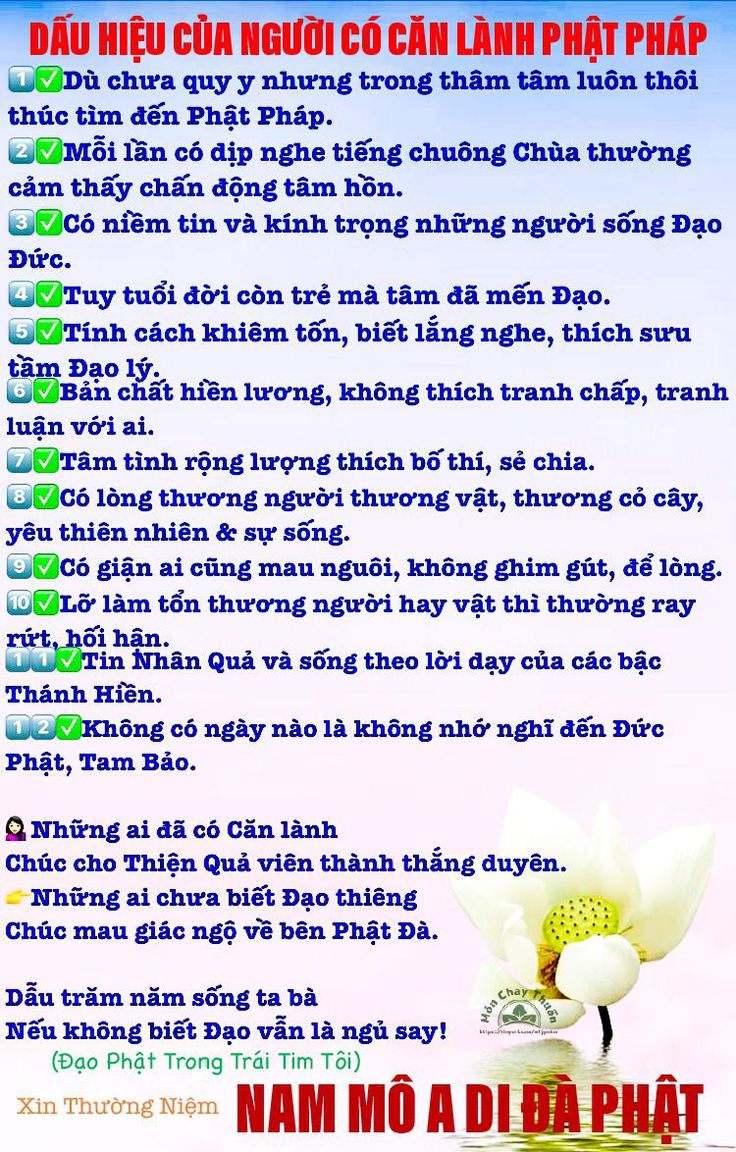 Dấu Hiệu Có Căn: Nhận Biết và Giải Đáp Gallery 2
