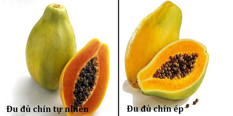 Quả đu đủ bao lâu thì chín? Gallery 2