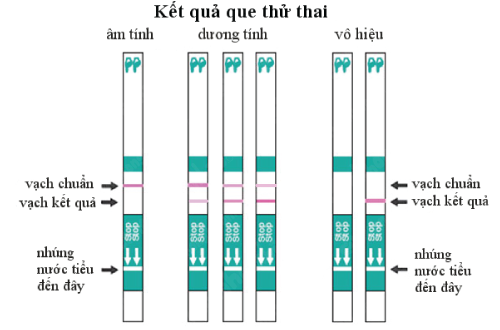 Que thử thai bị lỗi: Nguyên nhân và cách khắc phục Gallery 1