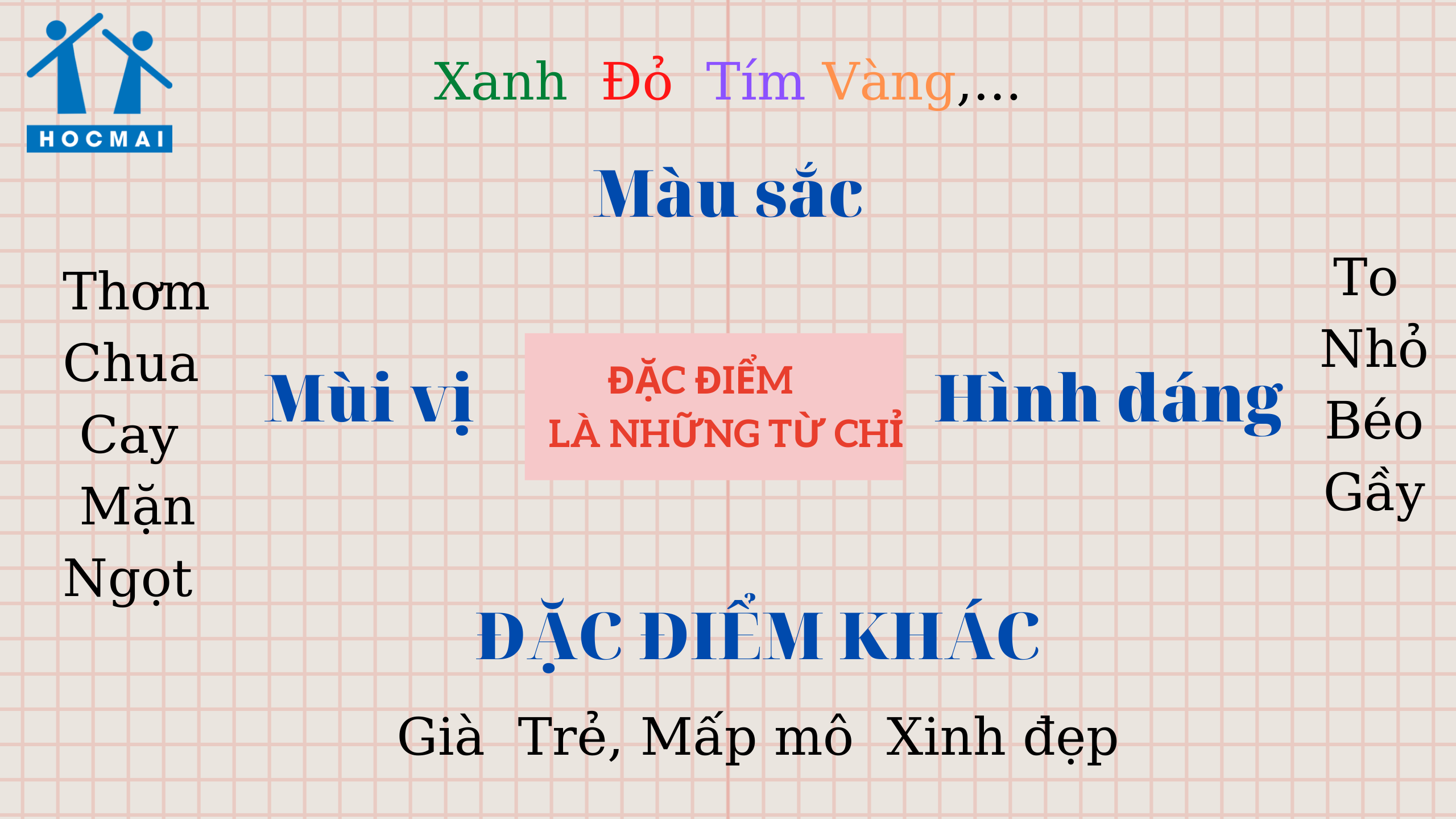 Đặc điểm là gì?