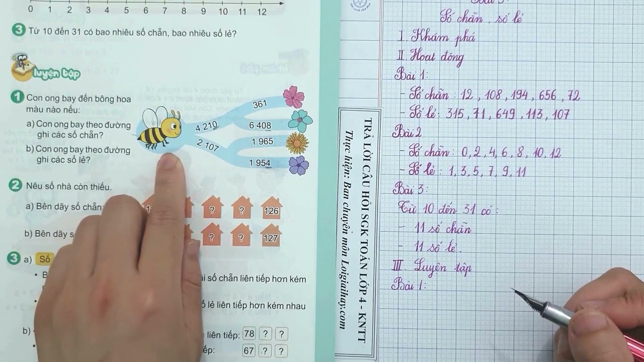 Chẵn lẻ có bao nhiêu con?