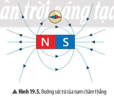 Để nhận biết từ trường người ta dùng gì? Gallery 2