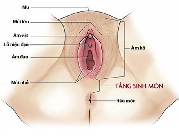 Đẻ thường có phải rạch không?