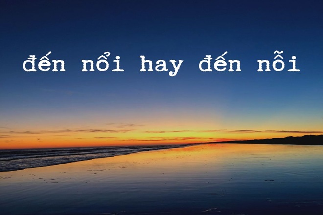 Đến Nỗi Hay Đến Nỗi? Gallery 2