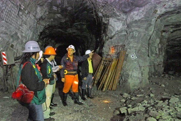 Mỏ Vàng Bồng Miêu: Thông Tin Chi Tiết và Lịch Sử Gallery 2