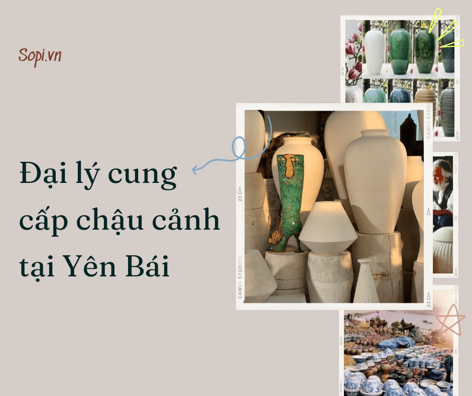 Khuôn Chậu Cảnh Yên Bái Gallery 2