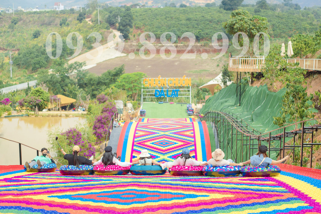 Chuồn Chuồn Đà Lạt: Khám Phá Thế Giới Cánh Ngân Tại Thành Phố Mù Sương Gallery 2