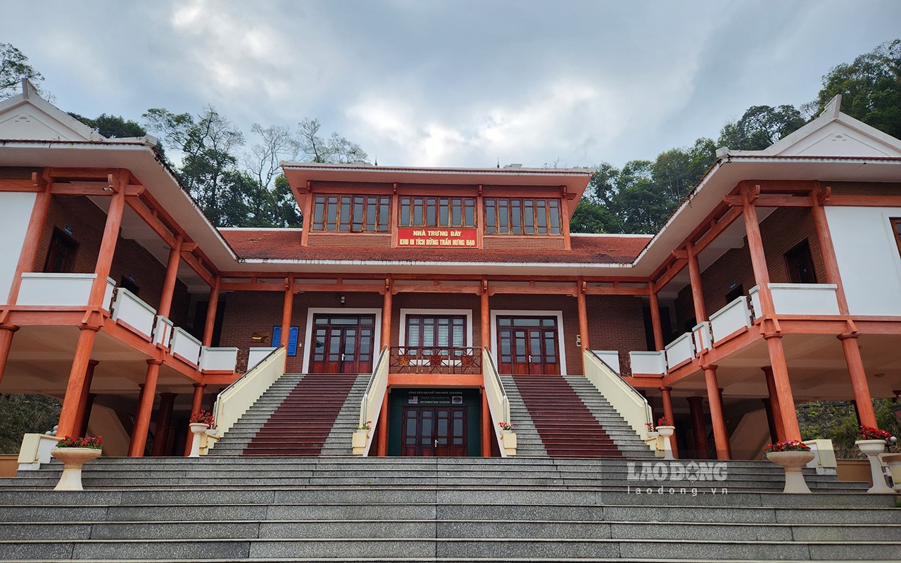 Khu rừng Trần Hưng Đạo Gallery 2