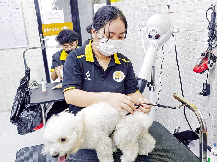 Vật nuôi thú cưng Cần Thơ: Địa điểm mua bán, chăm sóc thú cưng uy tín Gallery 2