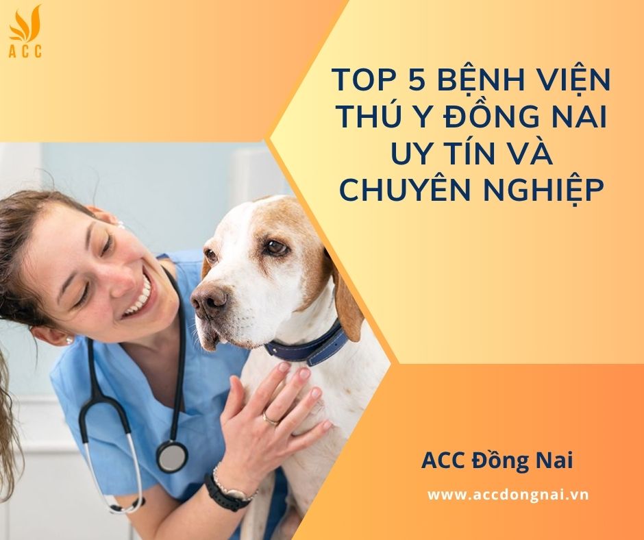 Vật nuôi thú cưng Đồng Nai: Địa chỉ mua bán, chăm sóc thú cưng uy tín Gallery 2