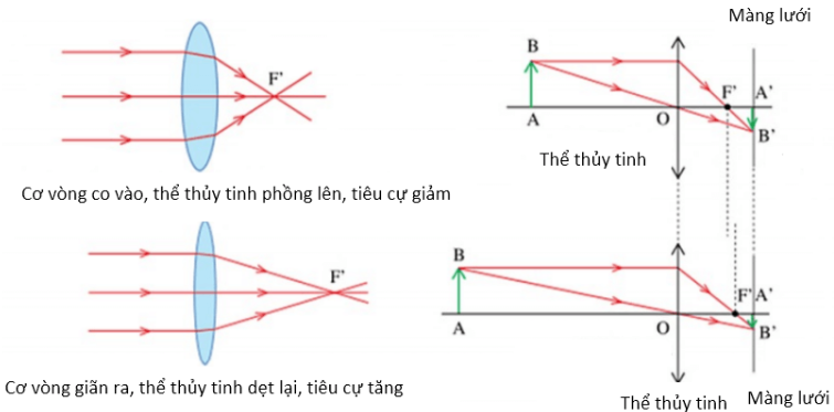 Điểm cực viễn là gì? Gallery 2