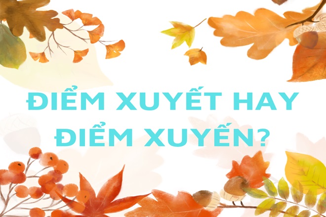 Điểm Xuyết Là Gì? Gallery 1