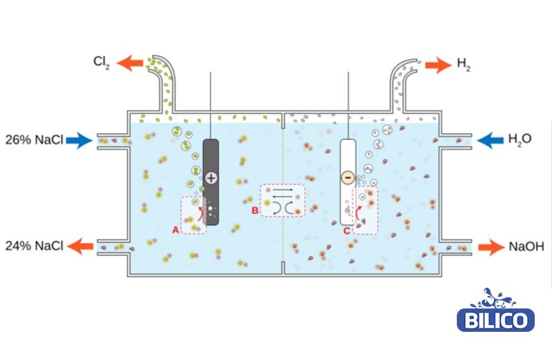 Điện phân NaCl: Quy trình, Sản phẩm và Ứng dụng Gallery 1