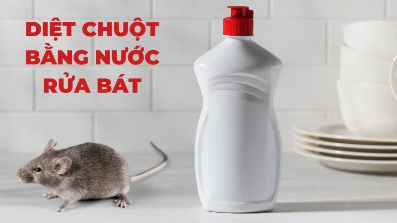 Diệt Chuột Bằng Nước Rửa Bát: Có Thật Sự Hiệu Quả?