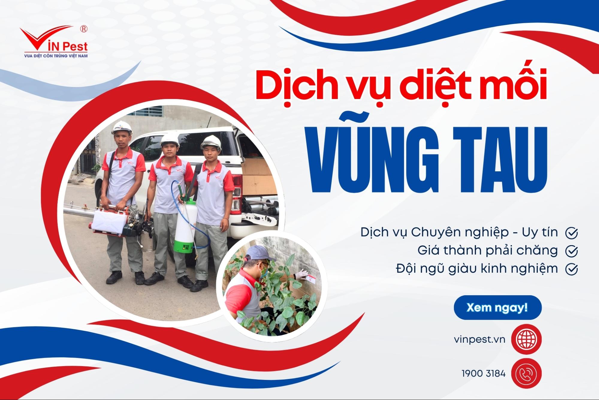 Diệt Mối Vũng Tàu - Giải Pháp Tận Gốc, Hiệu Quả