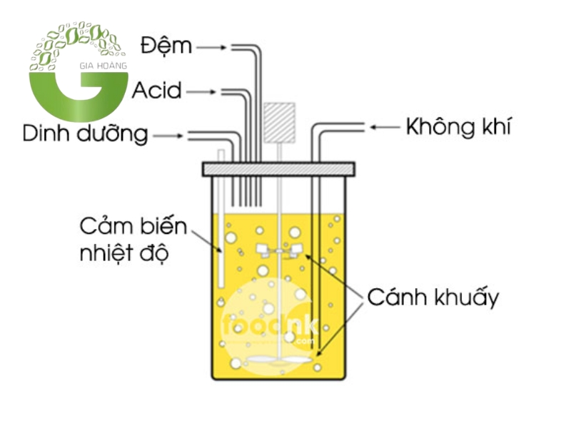 Điều Chế Axit Axetic Trong Công Nghiệp Gallery 1