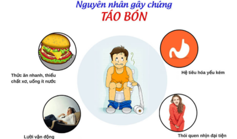 Cách Dễ Đi Ỉa Gallery 1