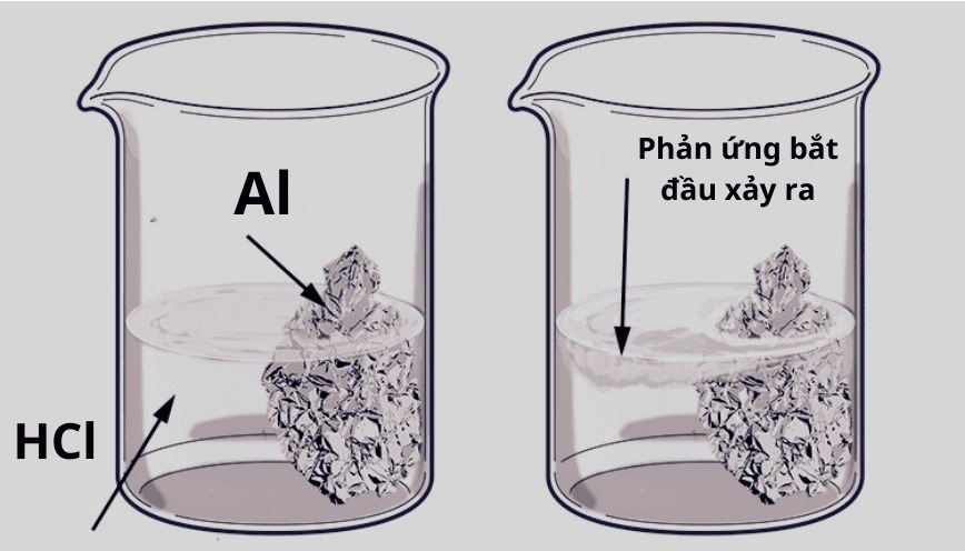 Điều Kiện Phản Ứng Là Gì? Gallery 2