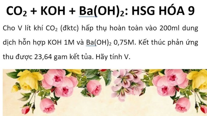 Phản ứng giữa CO2 dư và KOH Gallery 2