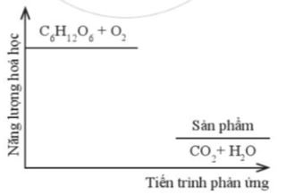 2H₂ + O₂ → 2H₂O: Phản ứng tổng hợp nước Gallery 2