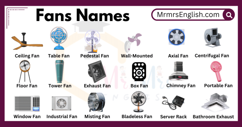 What is the English word for Fan? Gallery 1