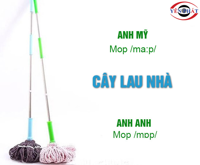 What is a mop in English? Gallery 1