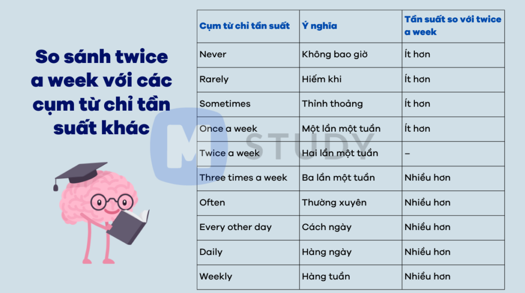 Twice a Week in English Gallery 1