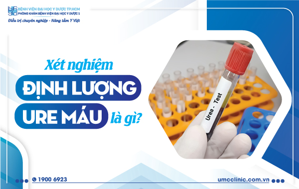 Định lượng Ure là gì?