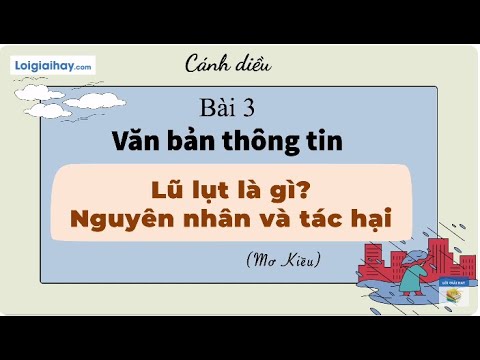 Lũ lụt là gì? Nguyên nhân và tác hại Gallery 1