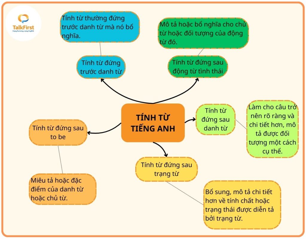Định nghĩa tính từ trong tiếng Anh Gallery 2