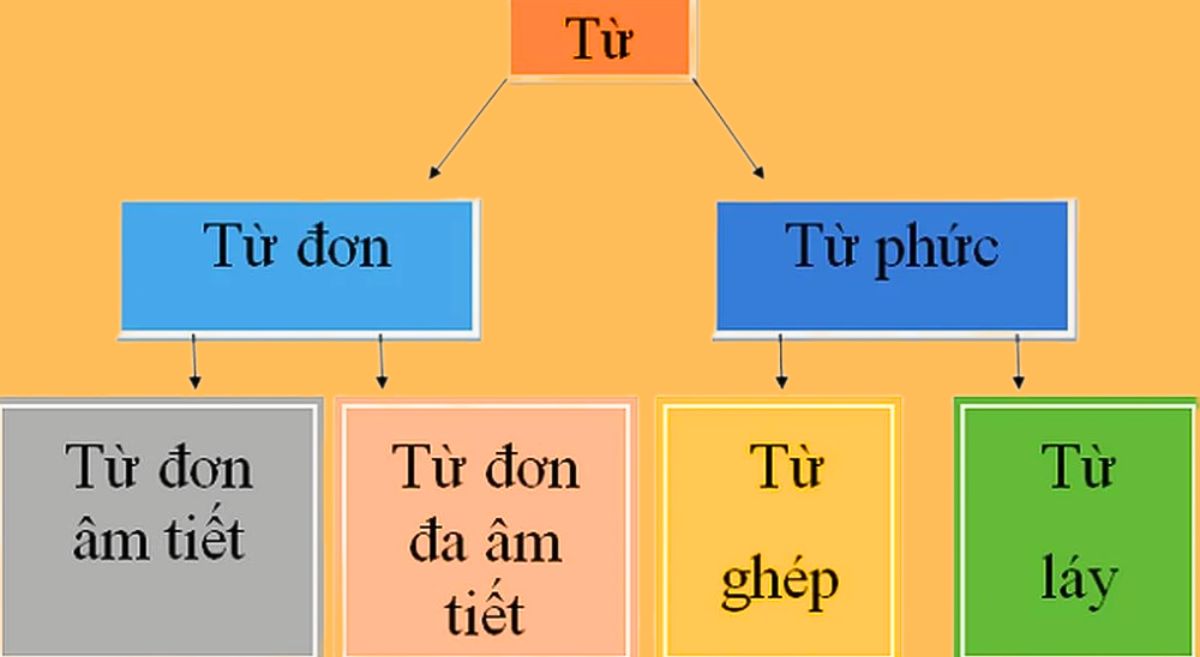 Định nghĩa Từ Phức