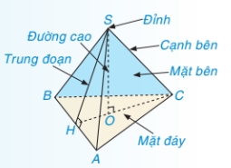 Hình Chóp Tam Giác Đều Là Gì? Gallery 1
