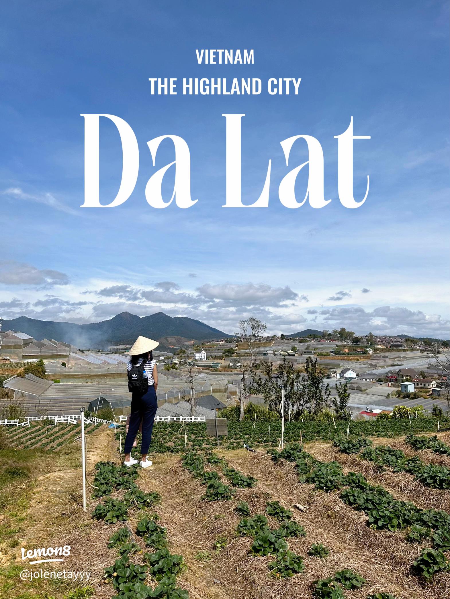 Da Lat: A Comprehensive Travel Guide Gallery 2
