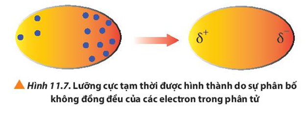 Sự phân bố electron không đồng đều trong nguyên tử và phân tử: Nguyên nhân và hậu quả Gallery 1