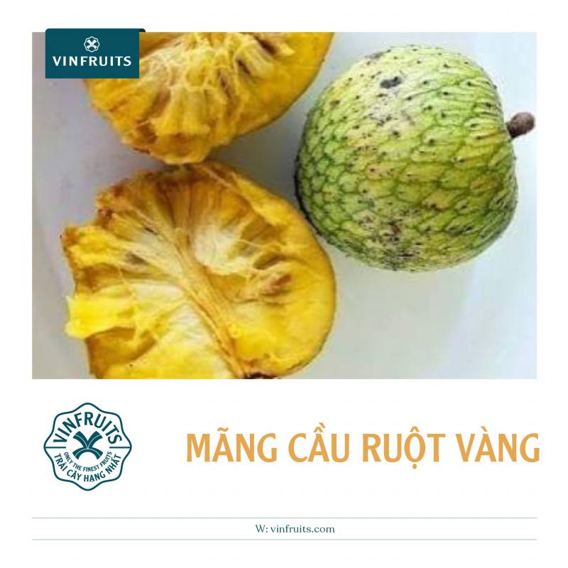 Mãng cầu có vị gì? Gallery 2