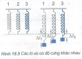 Lực đàn hồi của lò xo ở trạng thái bị biến dạng phụ thuộc vào gì? Gallery 1