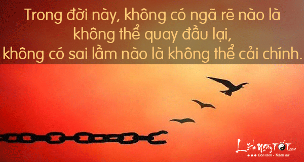 Độ Lượng Là Gì? Gallery 2