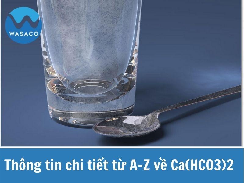 CaHCO32 có tan không? Gallery 1