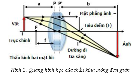 Độ trục là gì? Gallery 2