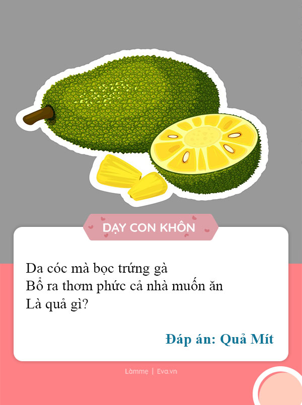 Đố vui về hoa quả - Những câu hỏi thú vị và hài hước