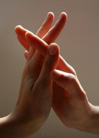 Đôi Bàn Tay Xin Đan Vào Nhau: Ý Nghĩa và Biểu Tượng